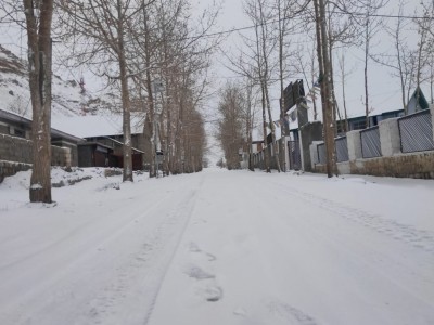 Himachal Turns Into Winter Wonderland As Heavy Snowfall Covers Rohtang, Lauhaul Spiti